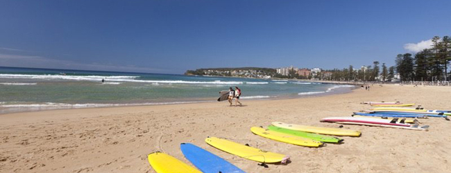 Bucht in Sydney mit Surfbrettern am Strand