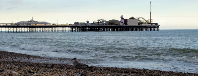 LISA-Sprachreisen-Erwachsene-Englisch-England-Brighton-The-Lanes-Meer-Moewe-Pier-Steine