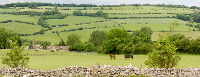 LISA-Sprachreisen-Erwachsene-Englisch-England-Cheltenham-Cotswold-Mauer-Stein-Pferde