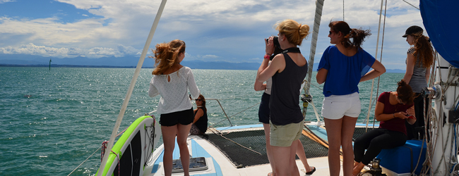 LISA-Sprachreisen-Erwachsene-Englisch-Neuseeland-Nelson-Ausflug-Yacht-Segelboot-Wale-Beobachten