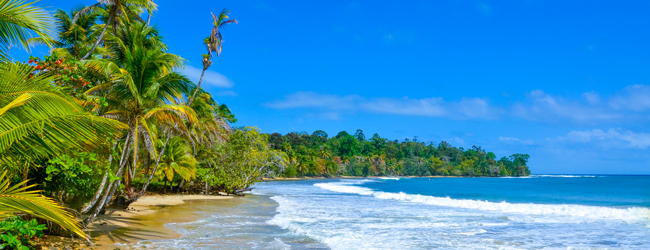 LISA-Sprachreisen-Erwachsene-Spanisch-Panama-Bocas-del-Toro-Meer-Strand-Palmen-Wellen LISA-Sprachreisen-Erwachsene-Spanisch-Panama-Bocas-del-Toro-Meer-Strand-Palmen-Wellen