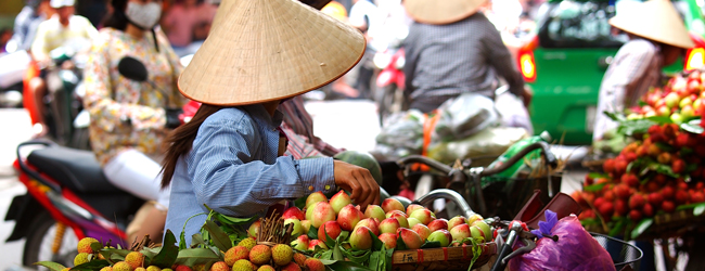 LISA-Sprachreisen-Erwachsene-Vietnamesisch-Vietnam-Hanoi-Saigon-Streetfood-Fahrrad-Fruechte