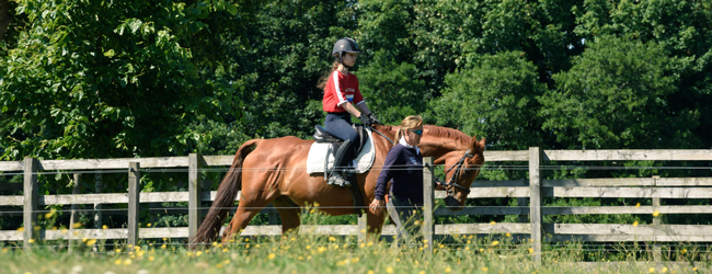 LISA-Sprachreisen-Schueler-Englisch-Schottland-Perth-Kilgraston-Freizeit-Reiten-Pferd