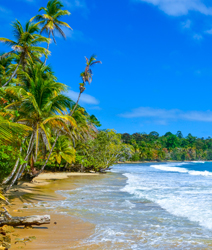 Bocas del Toro 